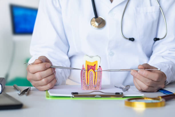 Best Emergency Orthodontic Repairs in Monrovia, IN